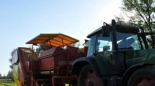 Viel Schatten, wenig Licht: Auf diese Formel bringt die Erzeugergemeinschaft ihre erste Bilanz zur diesjährigen Frühkartoffelernte in der Pfalz.