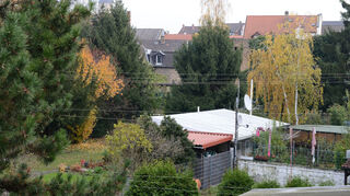 Baumbestände im Innenbereich erhalten besonderen Schutz.