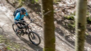 Der MTB-Marathon führt über weite Strecken durch den Wald.