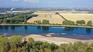 Auch im Rhein ist Niedrigwasser.