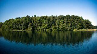 Der Schaalsee ist Namensgeber und Mittelpunkt eines Unesco-Biosphären- reservats.