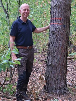 Revierleiter Frank Philipp ist für den Käfertaler Wald zuständig.