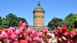 Mannheim setztauf umfassende Maßnahmen zum Klimaschutz.