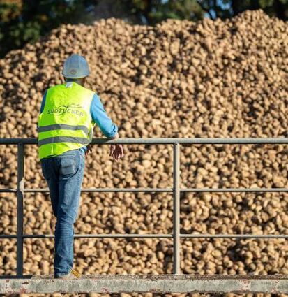 Ein Südzucker-Mitarbeiter im Werk Offenau bei Heilbronn.
