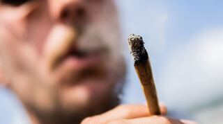 Cannabis gilt laut einem Übereinkommen von 1971 als Droge.