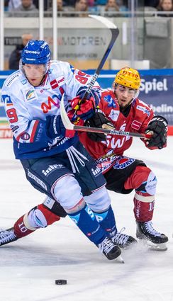 Im Zweikampf: Der Mannheimer David Wolf (vorne) und Bremerhavens Georgiy Saakyan versuchen an den Puck zu kommen.