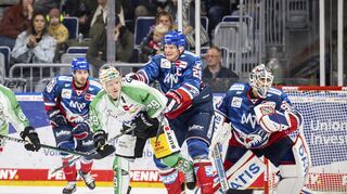 Alexander Preibisch von den Bietigheim Steelers und Denis Reul von den Adler Mannheim während des Spiels zwischen den Adler Mannheim und den Bietigheim Steelers.