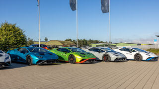 mid Rheinmünster - Lamborghinis bunter STO Blumenstrauß, hier stehen runde 1,5 Millionen Euro.