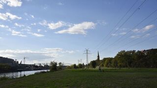 Viele Ideen gibt es für die Neckarwiese zwischen Kurzpfalzbrücke und Riedbahnbrücke.