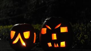 Gruseln müssen sich die Mannheimer dieses Jahr woanders: Das Halloween-Familien-Fest im Luisenpark muss in diesem Jahr abgesagt werden.