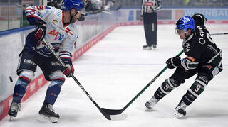 Die Adler Mannheim sind zu Gast bei den Augsburger Panther. Hier Mark Katic (Adler Mannheim) und Justin Volek (Augsburger Panther) im Zweikampf während des Spiels.