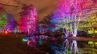 Brücken, Bäume, Wege und Wiesen wurden beim Festival „Winterlichter“ – hier 2019 – in Szene gesetzt, doch das ist nun abgesagt.