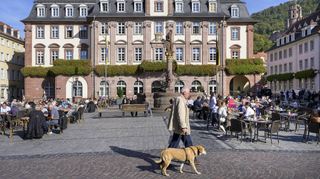 Das Heidelberger Rathaus in der Altstadt: Hier hat Oberbürgermeister Eckart Würzner seinen Arbeitsplatz. Er bewirbt sich um die dritte Amtszeit.