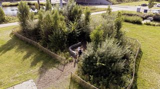 So könnte ein fertiger Tiny Forest aussehen.