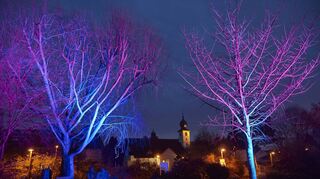 Stimmungsvoll soll der Bürgerhauspark zum Adventszauber wieder leuchten, aber wegen der Energiekrise etwas sparsamer als sonst. Vom Rathaus bis zum Altenheim St. Elisabeth wird sich der Weihnachtsmarkt erstrecken.
