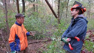 Förster und Forstbetriebsleiter Frank Philipp (l.) und Waldwende-Aktivist Markus Schrade auf der Versuchsfläche im Käfertaler Wald.