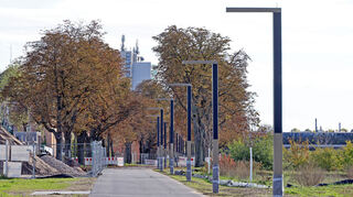 Die Allee auf dem Spinelli-Areal mit den modernen LED-Leuchten.