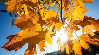 Der Oktober zeigte sich so freundlich wie noch nie in Baden-Württemberg.
