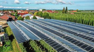 Eine Agri-Photovoltaik in Kressbronn am Bodensee spannt sich hier schützend über Obstbäume.
