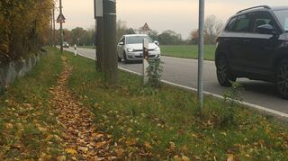 Seit Jahren müssen behinderte Schüler den schmalen Trampelpfad entlang der Straße zwischen der Blumenau und Lampertheim nutzen. Autos sind hier in greifbarer Nähe – viele Fahrerinnen und Fahrer halten sich zudem nicht an die vorgeschriebene Geschwindigkeit von 50 Kilometern pro Stunde.