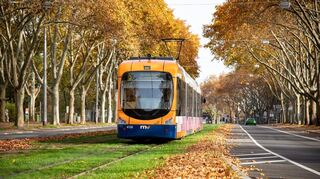 Rhein-Neckar. September 2022: Zug der Linie 5 der RNV.
