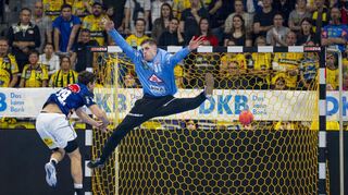Viel Verantwortung lastet momentan auf Löwen-Keeper Joel Birlehm (hier gegen Ex-Löwe Marius Steinhauser).