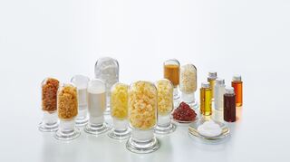 Die Phospholipid- Endprodukte als Pulver und Agglomerate.