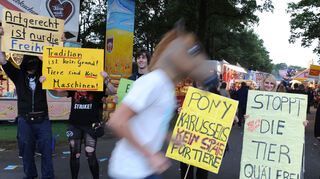 Seit Jahren gibt es Proteste gegen Ponykarussells.