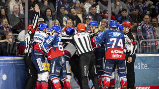 Die Adler Mannheim verloren gegen die Eisbären Berlin.