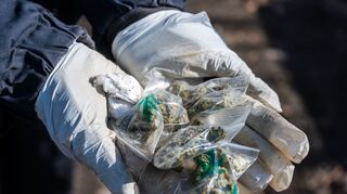 Unter anderem 200 Gramm Marihuana sollen an einen verdeckten Ermittler verkauft worden sein. (Symbolbild)