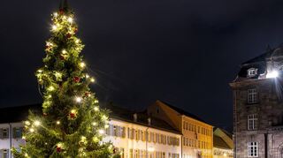 26.11.22 Pünktlich zum ersten Adventswochenende wurde eine von der Familie Bergmann aus Römerberg-Mechtersheim gestiftete ca. 12 m hohe Serbische Fichte als Weihnachtsbaum auf dem Domplatz Speyer aufgestellt, die mit ihren zahlreichen Lichtern Zuversicht verbreitet und Freude schenkt. Im Hintergrund erkennt man das Bischöfliche Palais und den Beginn der Maximilianstrasse mit dem Weihnachtsmarkt
