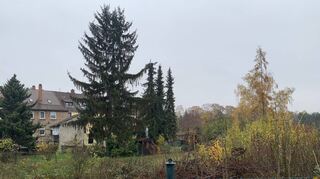 Baugrundstück in Feudenheim liegt noch länger brach