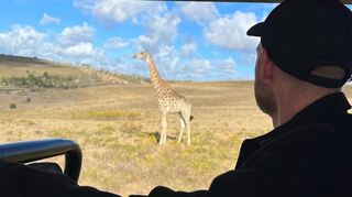 Waldhof-Verteidiger Laurent Jans erlebte auf Safaris wilde Tiere wie Giraffen in Afrika.