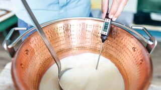 Kupfer wirkt sich als Spurenelement positiv auf den Reifeprozess des Käses aus.