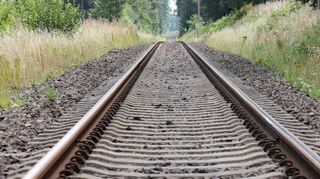 Eine Bahntrasse führt durch einen Wald.