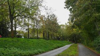 Der Rheindamm auf dem Lindenhof in der Höhe der Schwarzwaldstrasse in Mannheim.