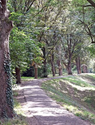 Frühestens im nächsten Sommer, vielleicht auch erst im Herbst, werden bei einem Erörterungstermin alle Unterlagen zur Rheinsanierung auf den Tisch kommen.
