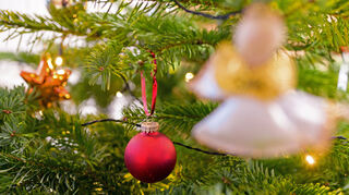 Auch "O Tannenbaum" gehört eigentlich zu den beliebtesten Weihnachtsliedern - aber offenbar nicht unter Coverkünstlern. (Symbolbild)