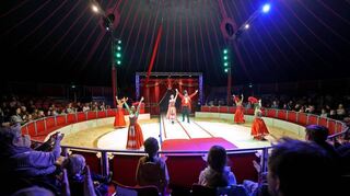 Beim 19. Ludwigshafener Weihnachtscircus entlockt unter anderem die ukrainische Can-Can-Truppe den Zuschauern tosenden Applaus.