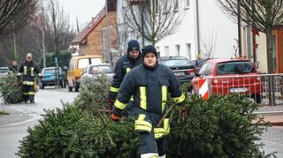 Die Feuerwehren holen wieder Bäume ab – wie hier in Bobstadt.
