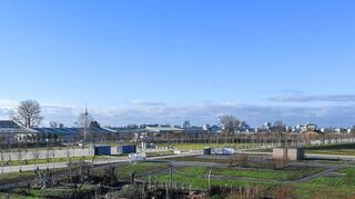 Ein Blick vom Aussichtsturm auf das Spinelli-Gelände der Bundesgartenschau: Überall werden derzeit Ausstellungsbeiträge angelegt und wird gepflanzt. Im Hintergrund ist die U-Halle zu sehen.