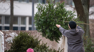 Ein Mann wirft seinen Weihnachtsbaum in einen speziell dafür aufgestellten Container.