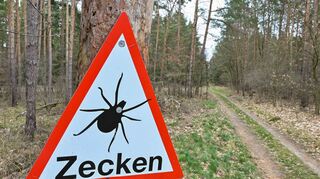 In bestimmten Gebieten ist besondere Vorsicht vor Zecken geboten.