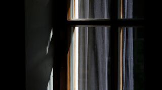 Ein Fliegennetz hält lästiges Ungeziefer aus der Wohnung.