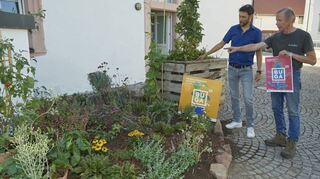 Schon im Sommer haben Dirk Dewald und Florist Hans-Jürgen Schuster am Hofheimer temporären Garten auf das Lampertheimer Buga-Programm hingewiesen.