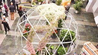 Wie beim Neujahrsempfang der Stadt im Rosengarten – unser Bild – will die Bundesgartenschau ab Samstag auch auf der CMT in Stuttgart für das sommerlange Blumenfest in Mannheim werben.