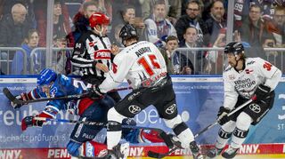 Auch körperlich wurde den Adlern alles abverlangt. Hier macht Denis Reul (links) Bekanntschaft mit der robusten Kölner Spielweise.