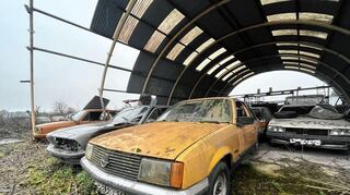 Sie hätten in den kommenden Tagen alle abgeholt werden sollen. Doch das Entfernen der Autos vom Autofriedhof gestaltet sich schwierig.