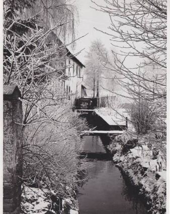 Der Kanzelbach an der Rautenthaler Mühle.