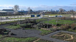Ein Blick vom Aussichtsturm auf das Spinelli-Gelände der Bundesgartenschau.